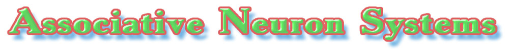 Title of the site - 'Associative Neuron Systems'